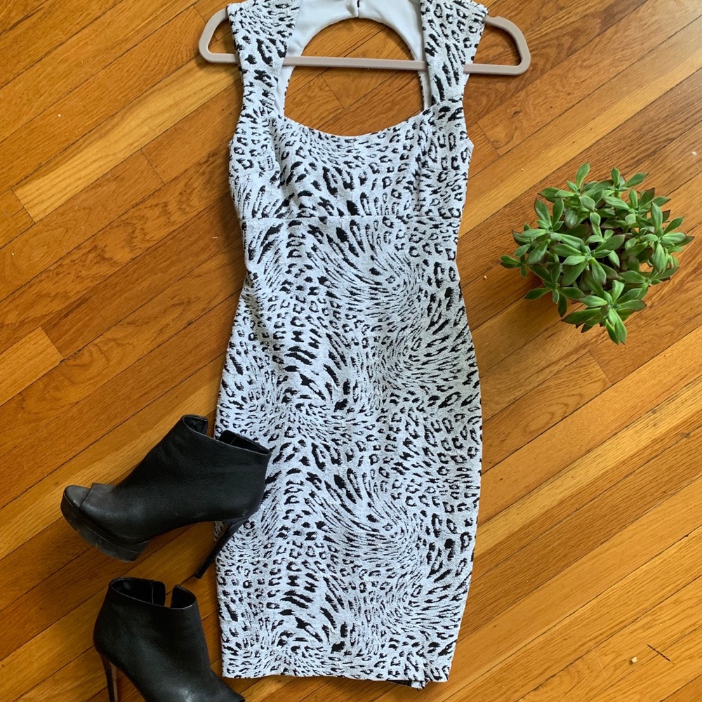 Cache below the knee cocktail dress